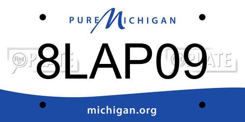 8LAP09 Michigan License Plate