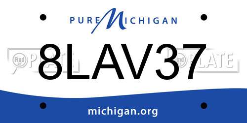8LAV37 Michigan License Plate