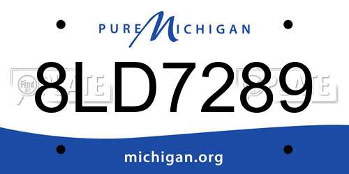 8LD7289 Michigan License Plate