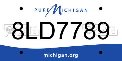 8LD7789 Michigan License Plate