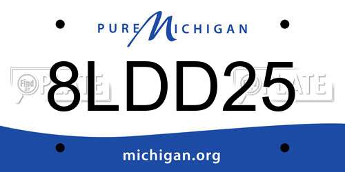 8LDD25 Michigan License Plate