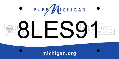 8LES91 Michigan License Plate