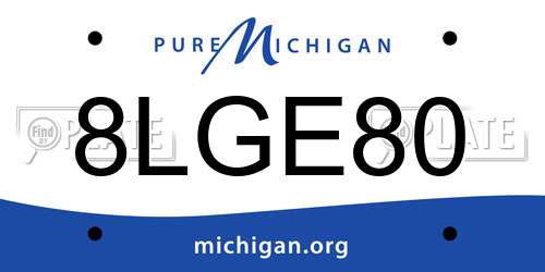 8LGE80 Michigan License Plate