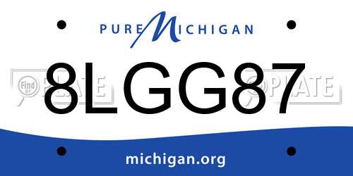 8LGG87 Michigan License Plate