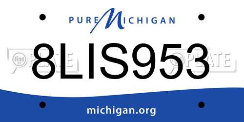 8LIS953 Michigan License Plate