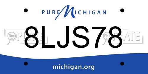 8LJS78 Michigan License Plate