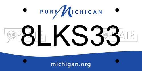 8LKS33 Michigan License Plate