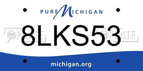 8LKS53 Michigan License Plate