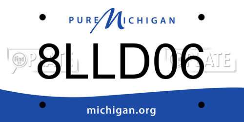 8LLD06 Michigan License Plate