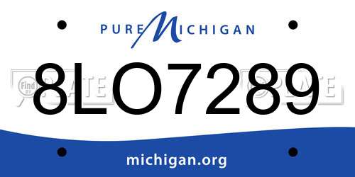 8LO7289 Michigan License Plate