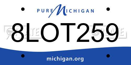 8LOT259 Michigan License Plate
