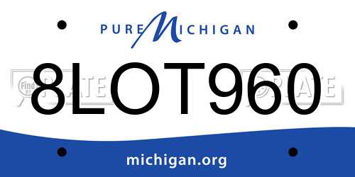 8LOT960 Michigan License Plate