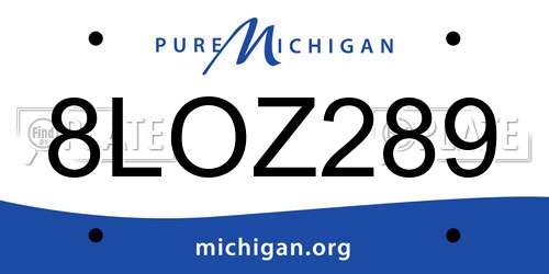 8LOZ289 Michigan License Plate