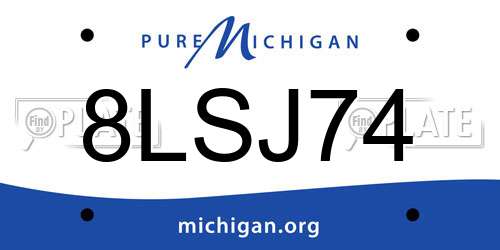 8LSJ74 Michigan License Plate