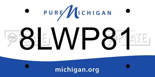 8LWP81 Michigan License Plate