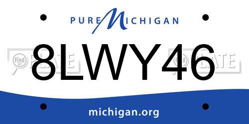 8LWY46 Michigan License Plate