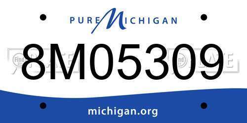 8M05309 Michigan License Plate