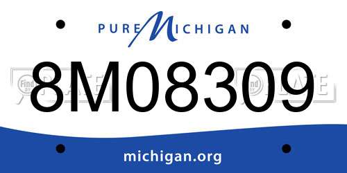 8M08309 Michigan License Plate