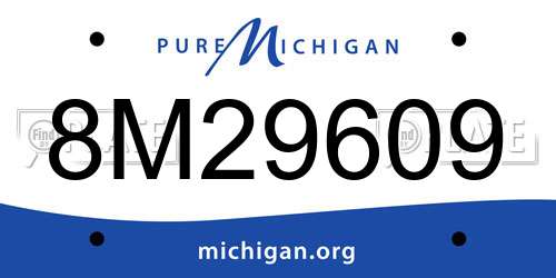8M29609 Michigan License Plate