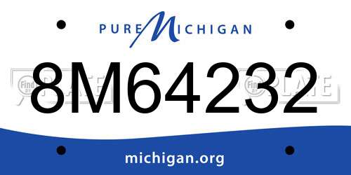 8M64232 Michigan License Plate