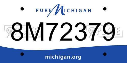 8M72379 Michigan License Plate