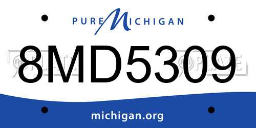 8MD5309 Michigan License Plate