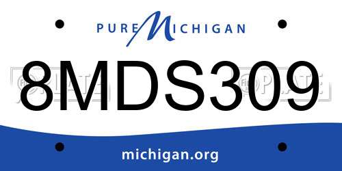 8MDS309 Michigan License Plate