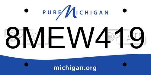 8MEW419 Michigan License Plate