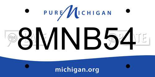8MNB54 Michigan License Plate