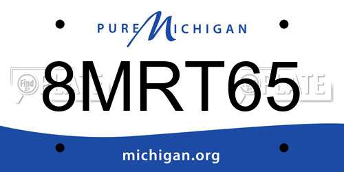 8MRT65 Michigan License Plate