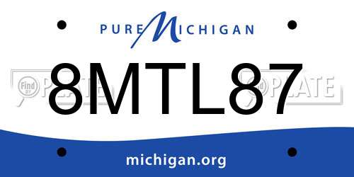 8MTL87 Michigan License Plate