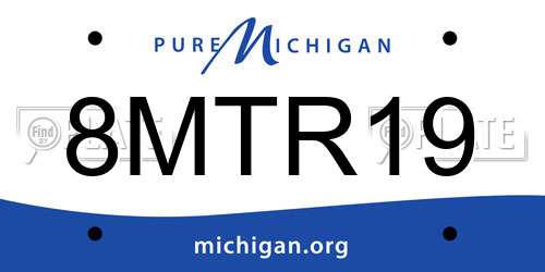 8MTR19 Michigan License Plate