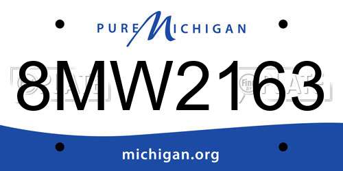 8MW2163 Michigan License Plate