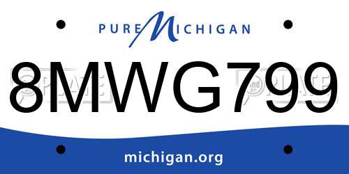 8MWG799 Michigan License Plate