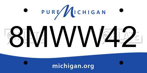 8MWW42 Michigan License Plate