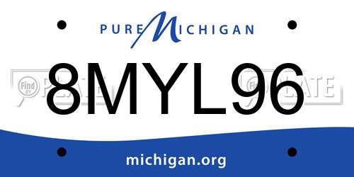8MYL96 Michigan License Plate