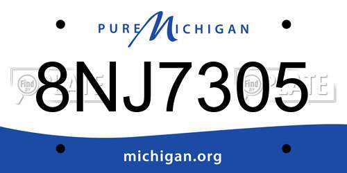 8NJ7305 Michigan License Plate