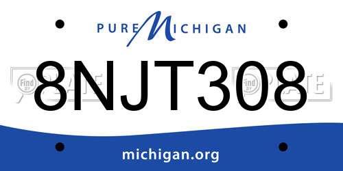 8NJT308 Michigan License Plate