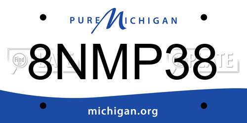 8NMP38 Michigan License Plate