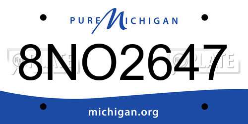 8NO2647 Michigan License Plate