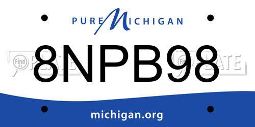 8NPB98 Michigan License Plate