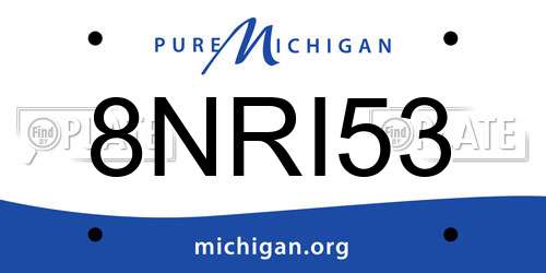 8NRI53 Michigan License Plate