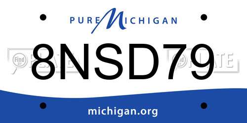 8NSD79 Michigan License Plate