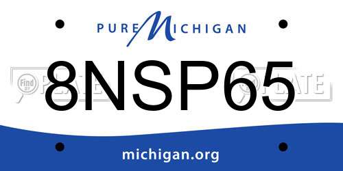 8NSP65 Michigan License Plate