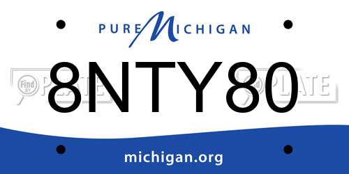 8NTY80 Michigan License Plate