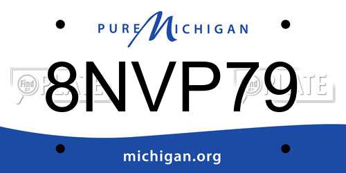 8NVP79 Michigan License Plate