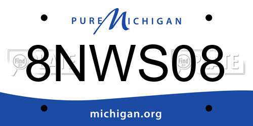 8NWS08 Michigan License Plate