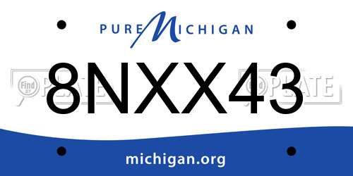 8NXX43 Michigan License Plate