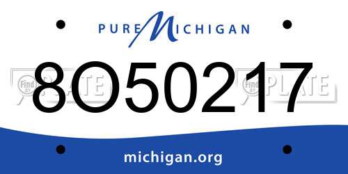 8O50217 Michigan License Plate