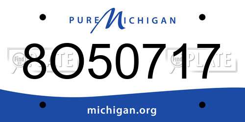 8O50717 Michigan License Plate